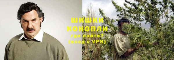 МДПВ Краснослободск