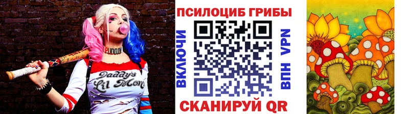 Купить где  Уржум  Галлюциногенные грибы прущие грибы 